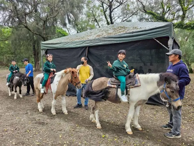 頭城探索體驗教學